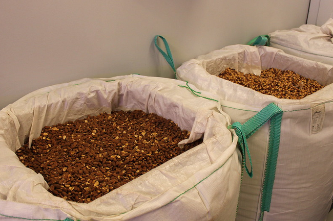 cocoa beans bags display