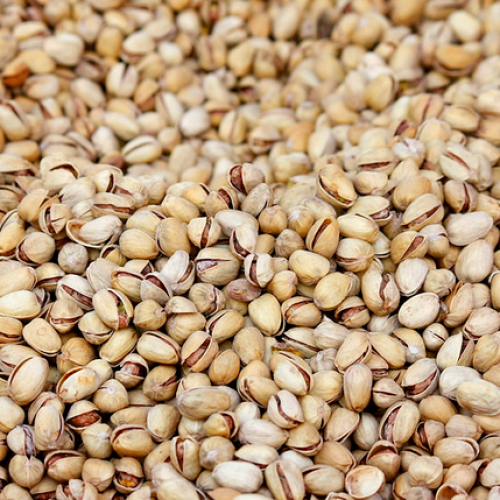 pistachio nut