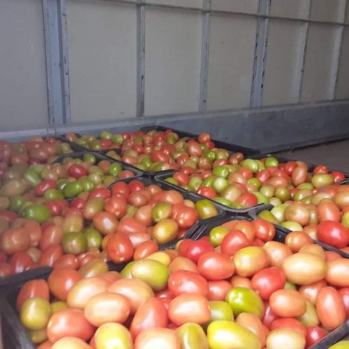 whatsapp image 2022 08 19 at 2.24.07 pm (1)